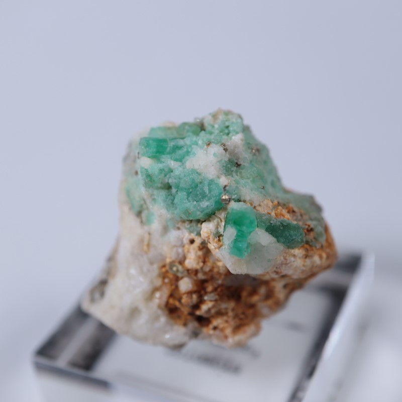 ������ӥ������������