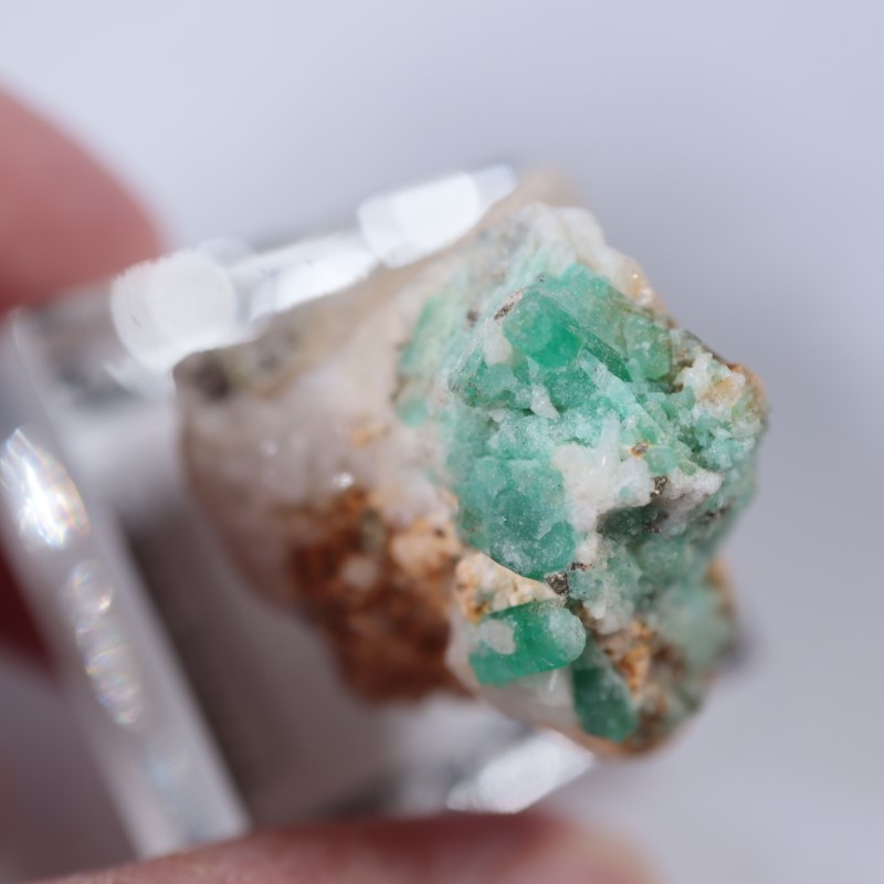 ������ӥ������������