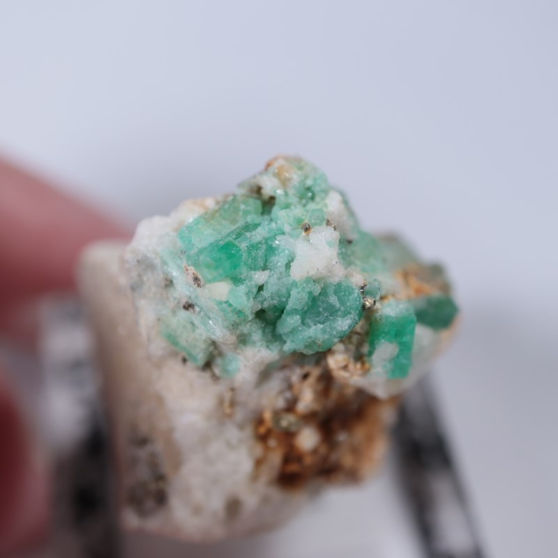 ������ӥ������������