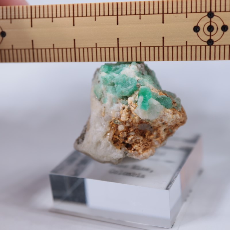 ������ӥ������������