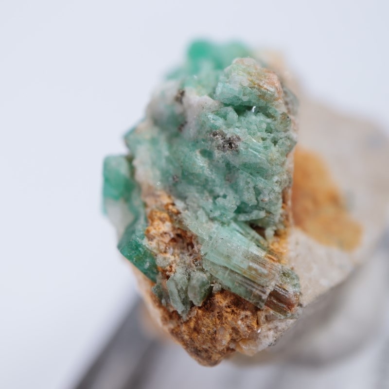 ������ӥ������������