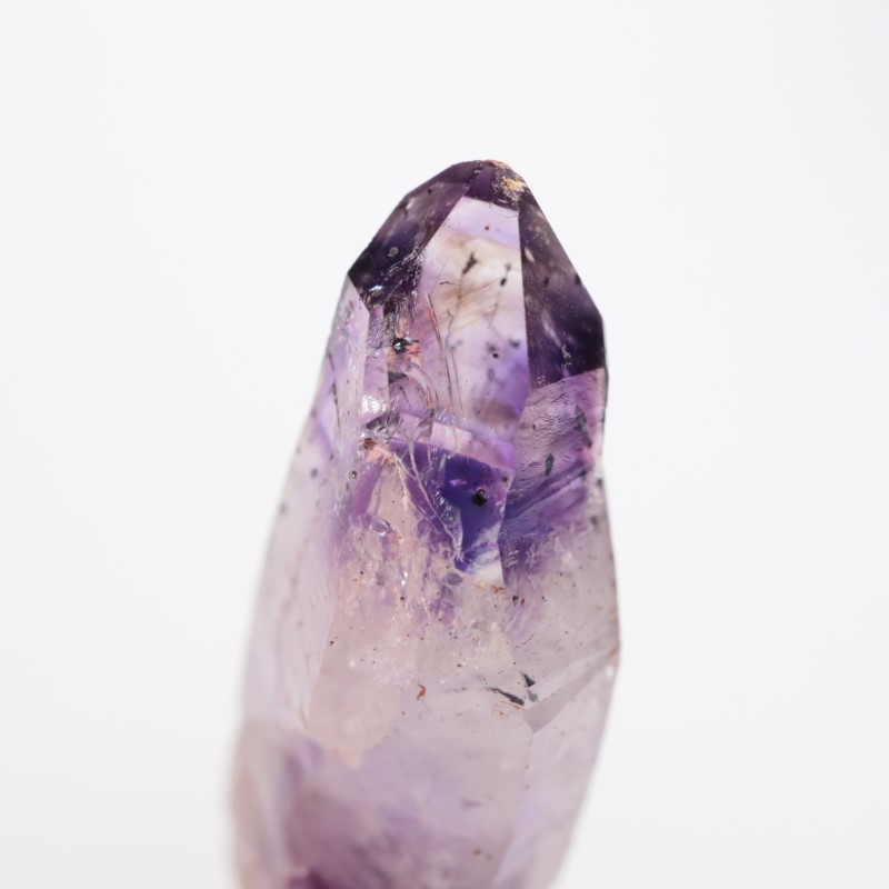 �֥��ɥС����������᥷����