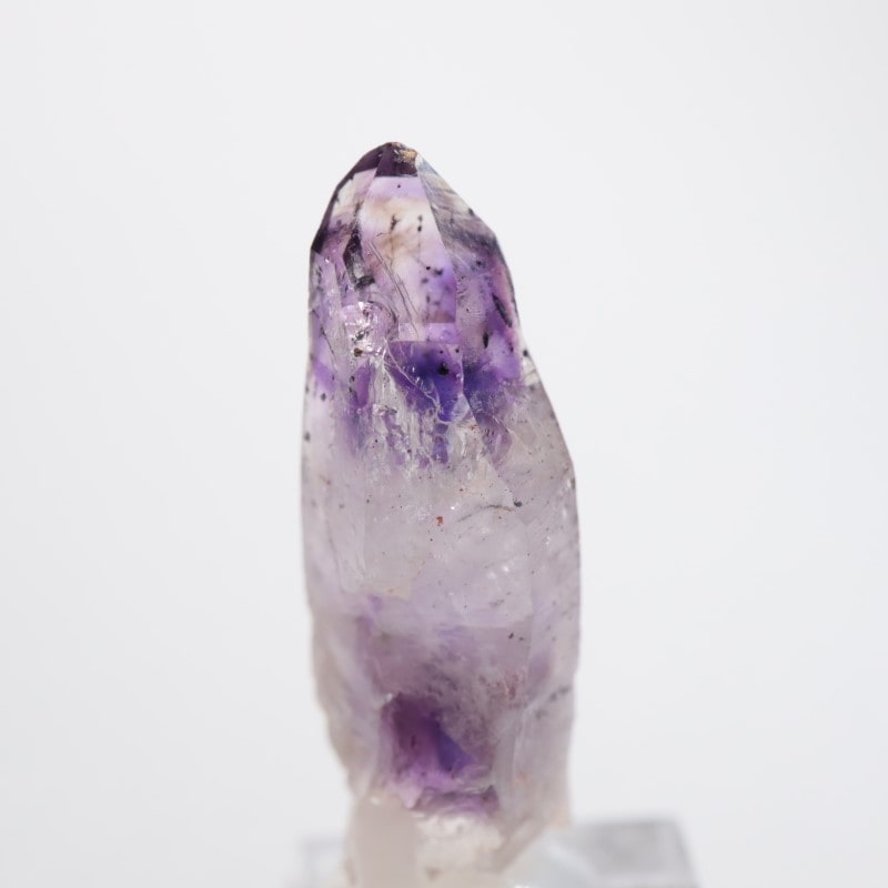 �֥��ɥС����������᥷����