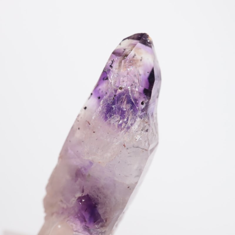 �֥��ɥС����������᥷����