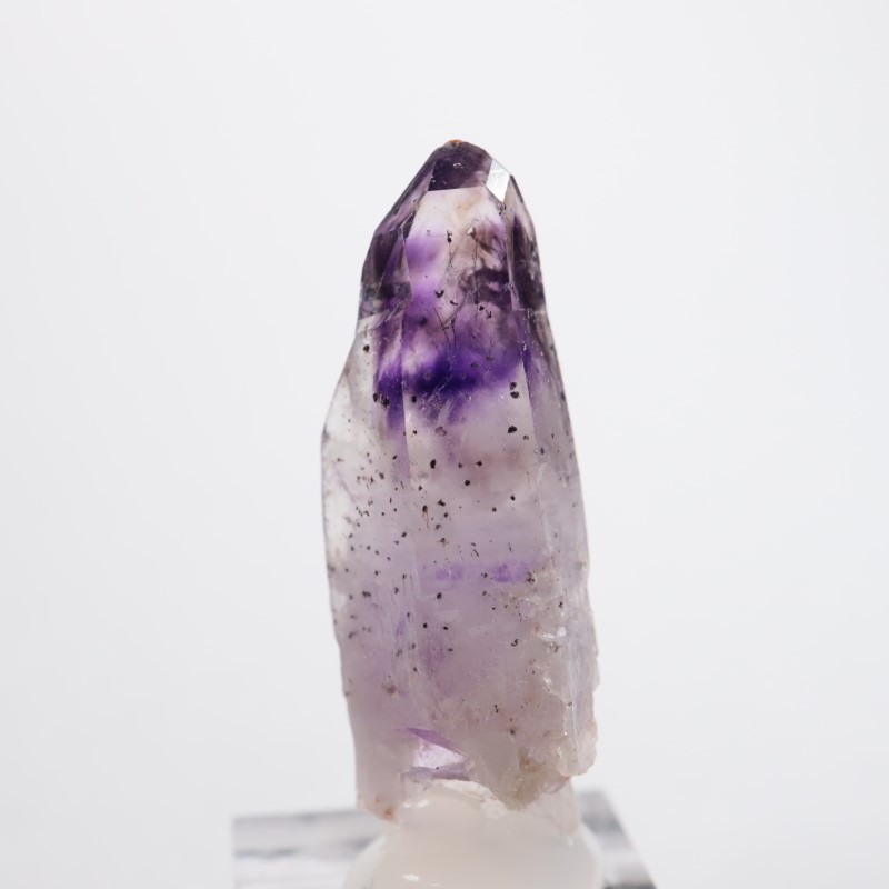 �֥��ɥС����������᥷����