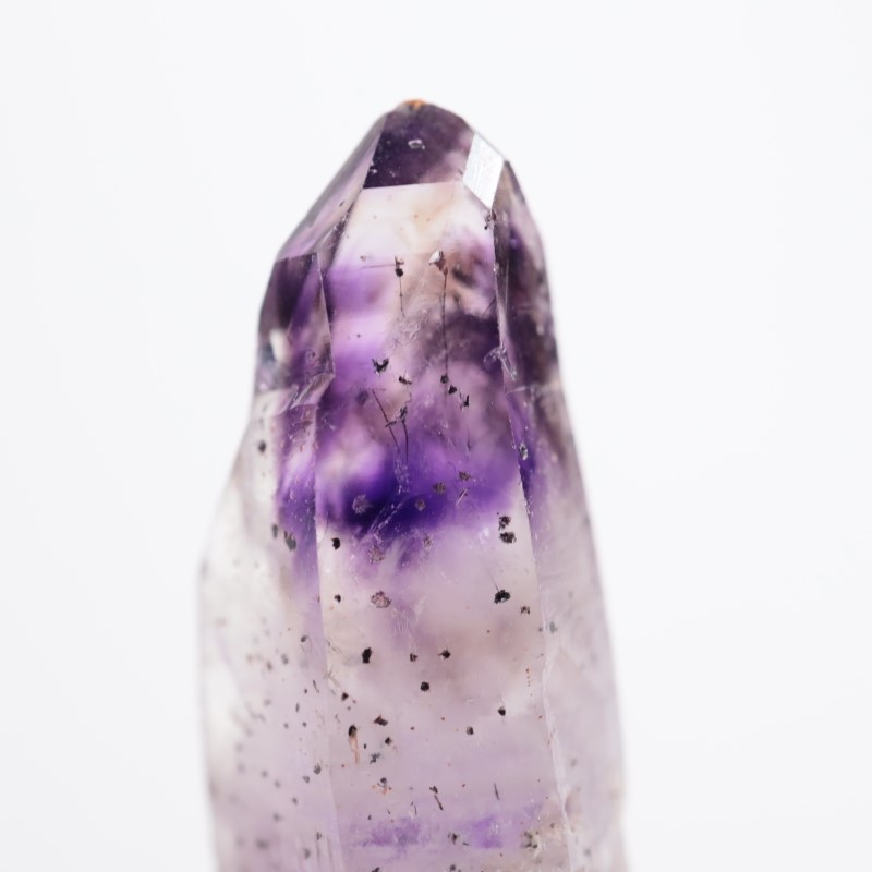 �֥��ɥС����������᥷����