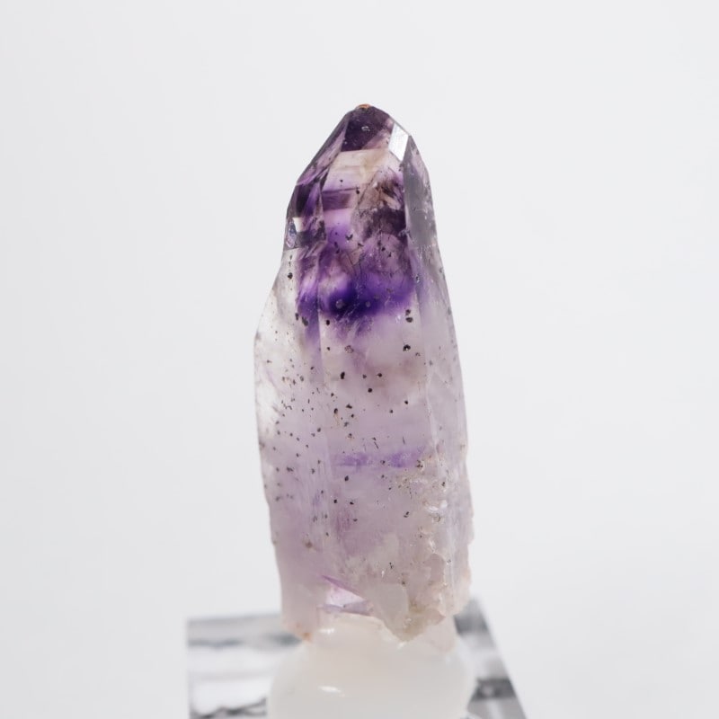 �֥��ɥС����������᥷����