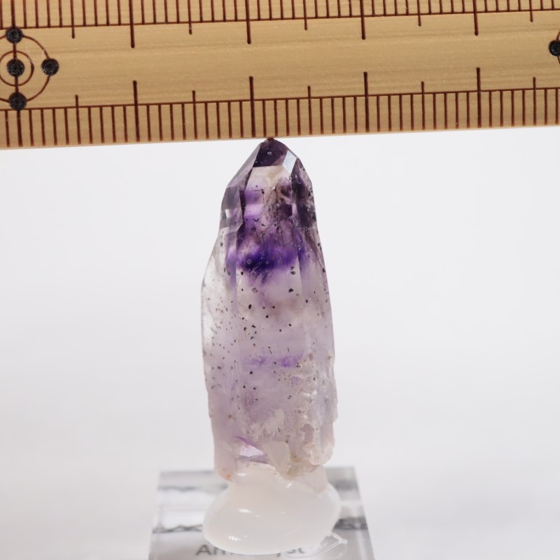 �֥��ɥС����������᥷����