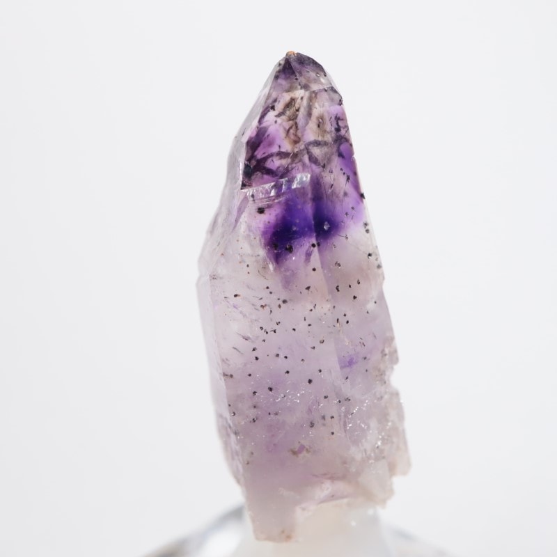 �֥��ɥС����������᥷����