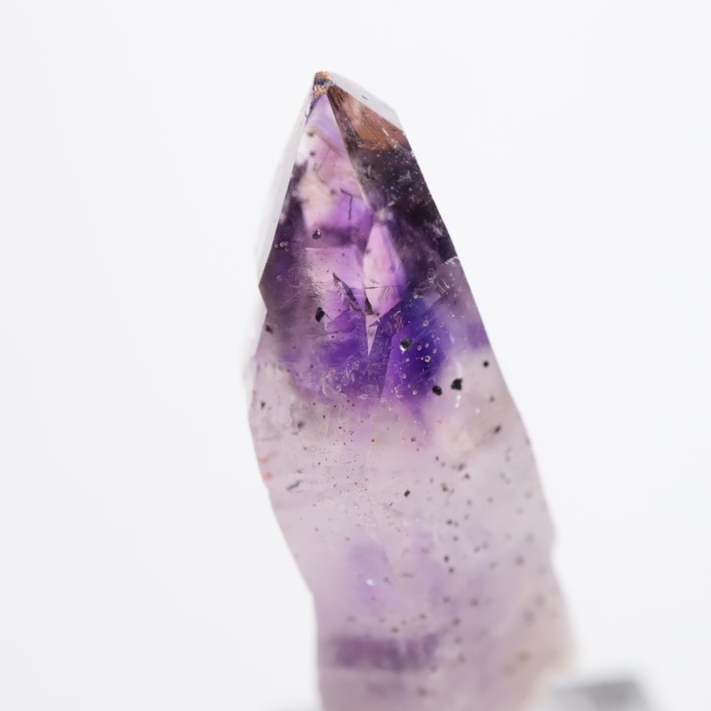 �֥��ɥС����������᥷����