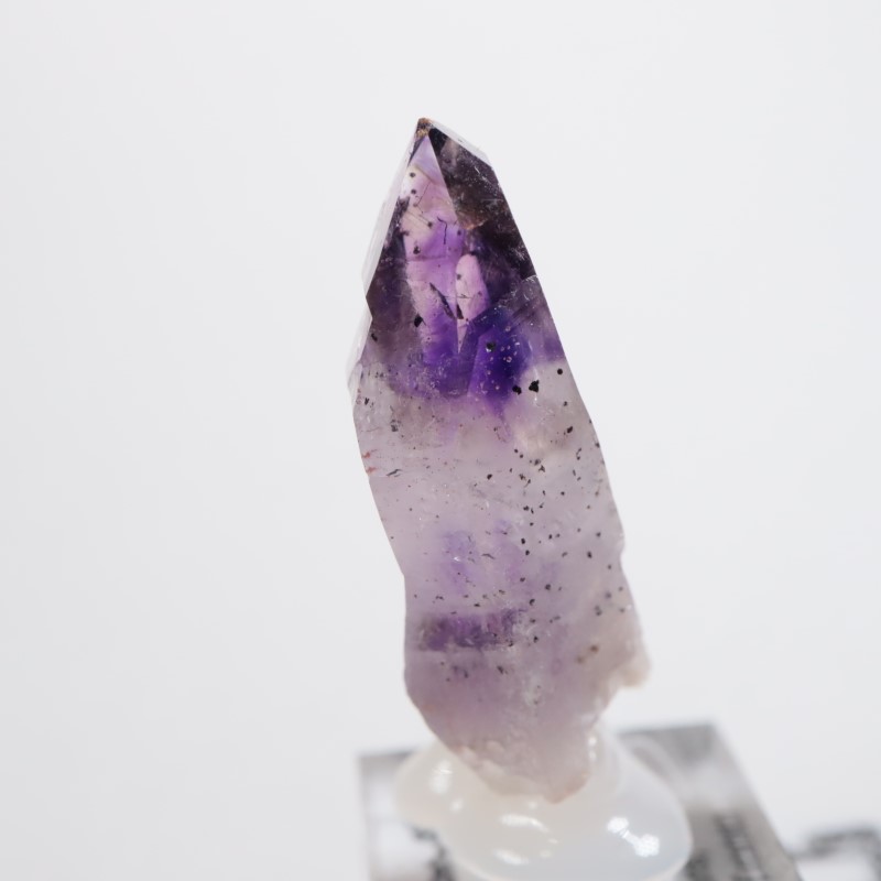 �֥��ɥС����������᥷����