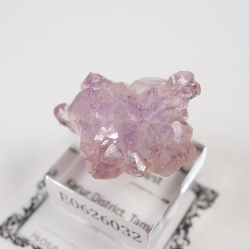 Karur�����ե����᥷����