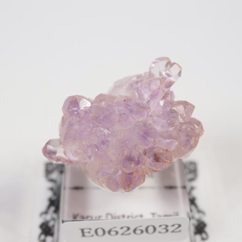 Karur�����ե����᥷����