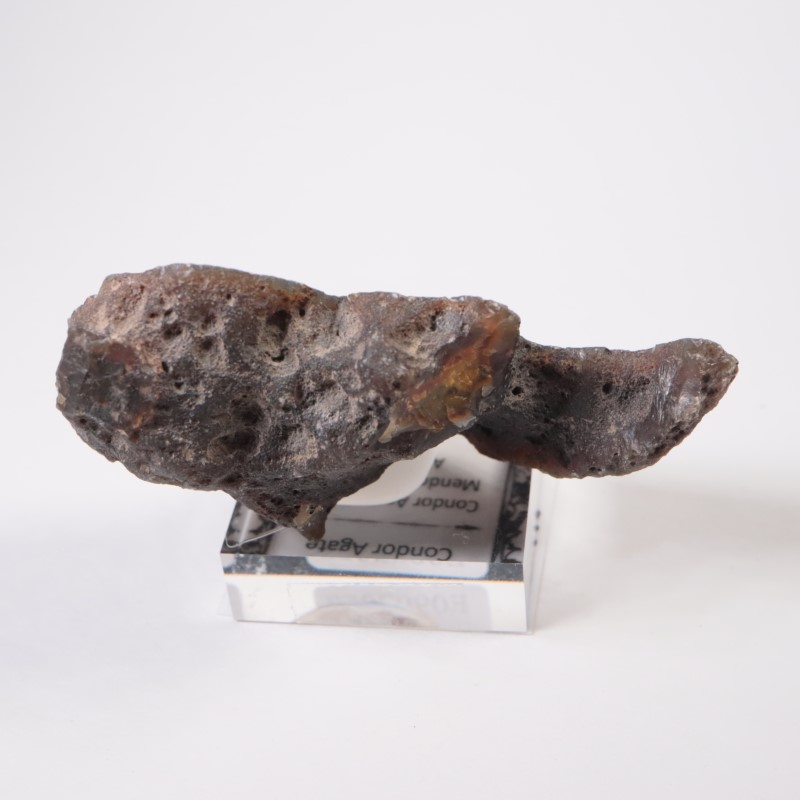 アルゼンチン産 コンドルアゲート | 鉱物標本,ア行,アゲート/瑪瑙