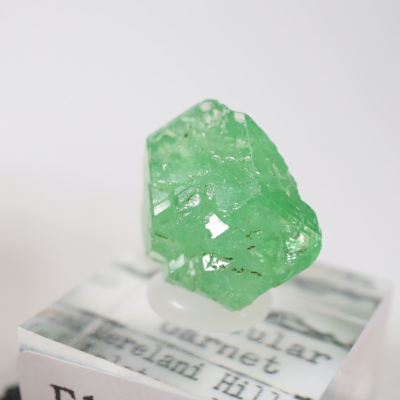 ����˥ҥ륺�� ��������顼�����ͥå�