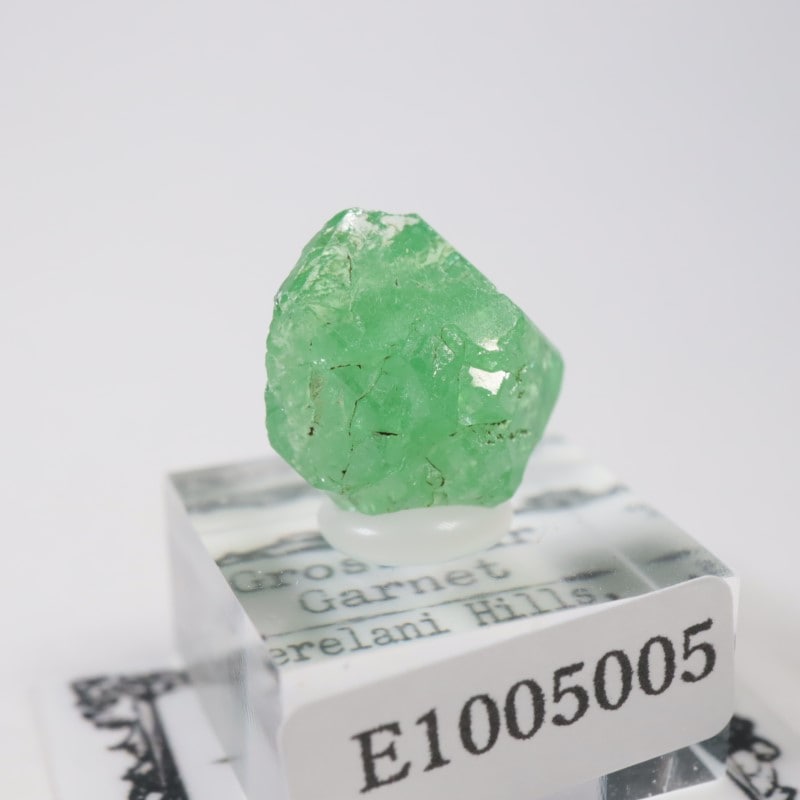 ����˥ҥ륺�� ��������顼�����ͥå�