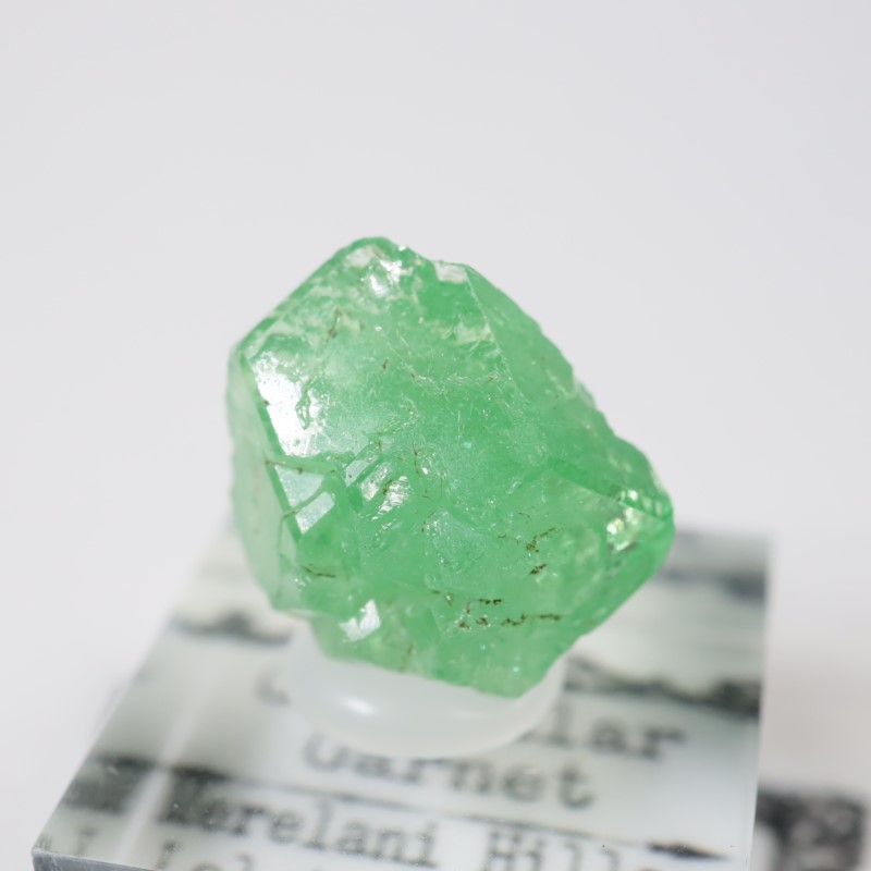 ����˥ҥ륺�� ��������顼�����ͥå�