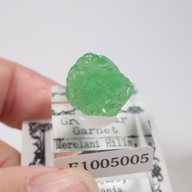 ����˥ҥ륺�� ��������顼�����ͥå�