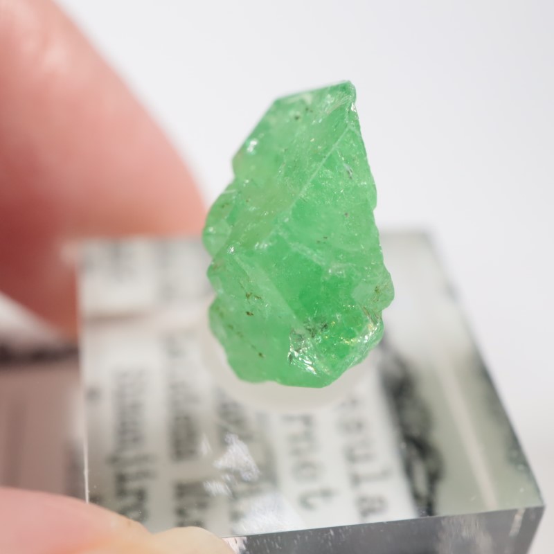 ����˥ҥ륺�� ��������顼�����ͥå�