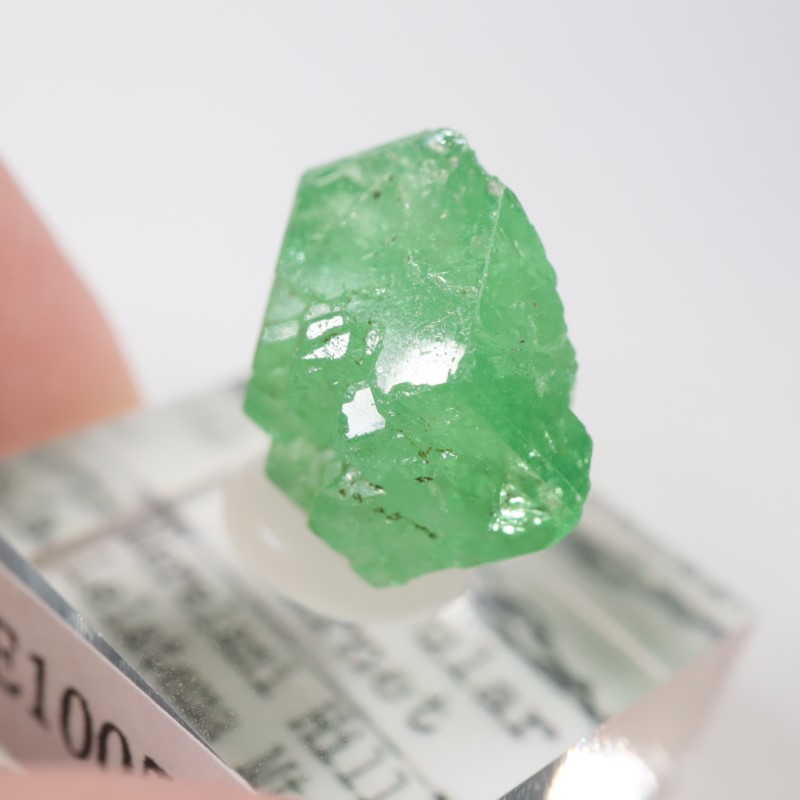 ����˥ҥ륺�� ��������顼�����ͥå�