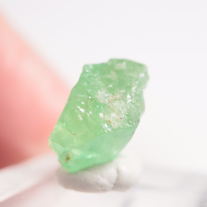 ���󥶥˥��� �����ͥ�ԥ�