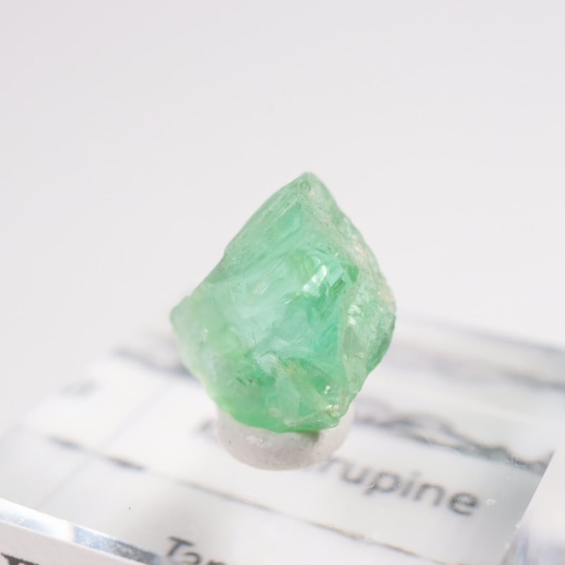 ���󥶥˥��� �����ͥ�ԥ�