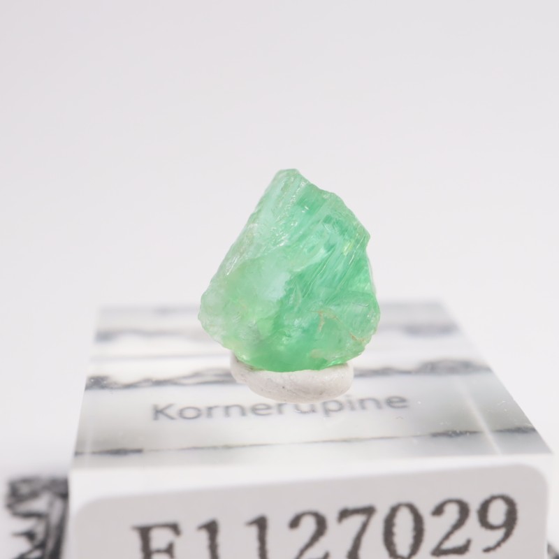 ���󥶥˥��� �����ͥ�ԥ�