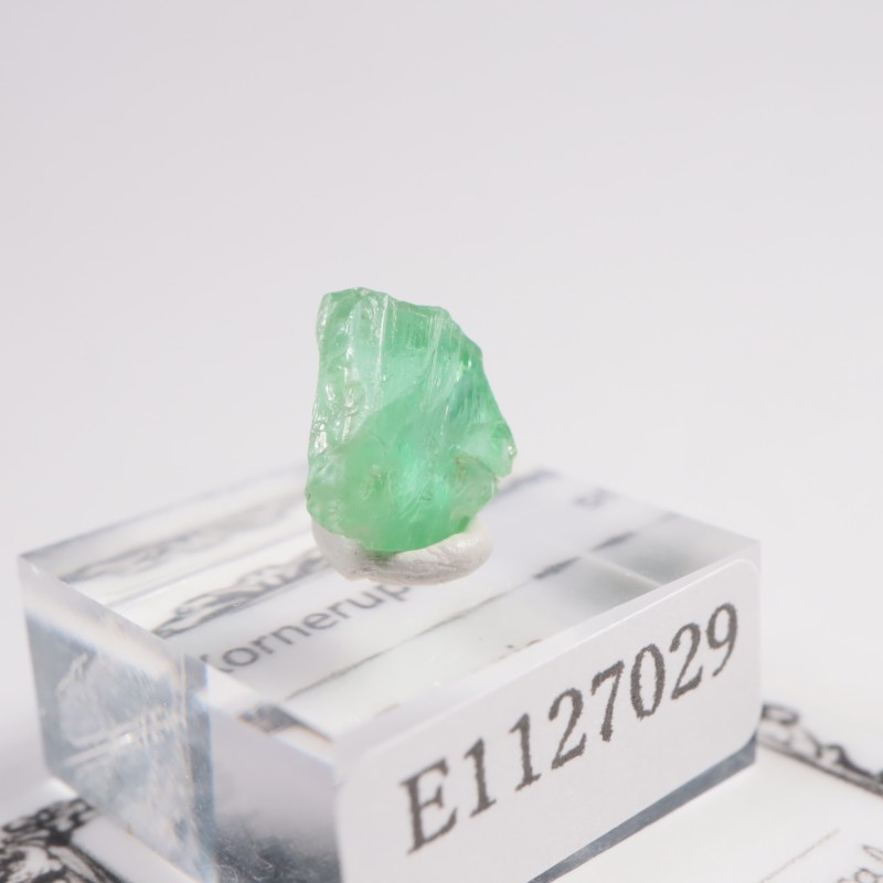 ���󥶥˥��� �����ͥ�ԥ�