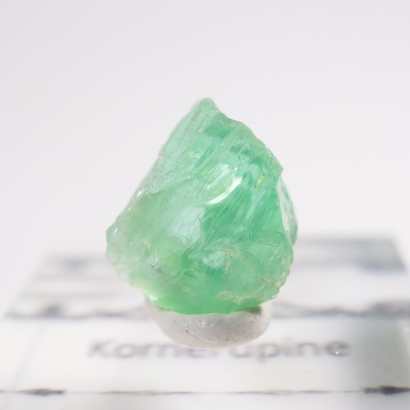 ���󥶥˥��� �����ͥ�ԥ�