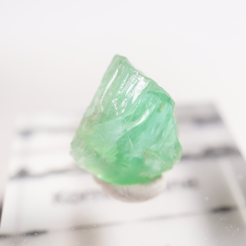 ���󥶥˥��� �����ͥ�ԥ�