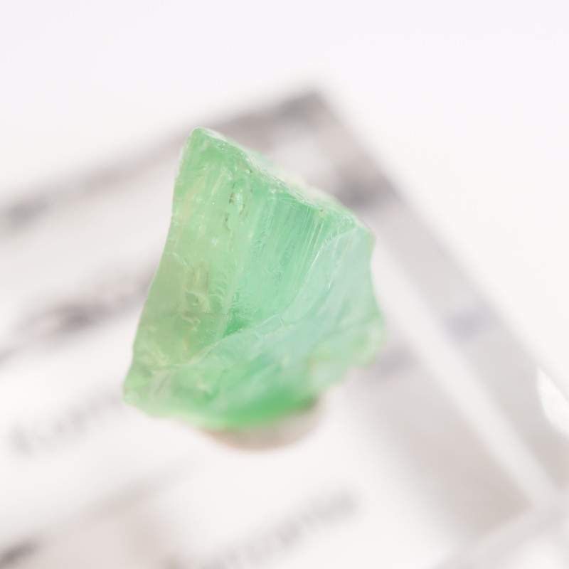 ���󥶥˥��� �����ͥ�ԥ�