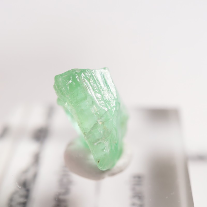 ���󥶥˥��� �����ͥ�ԥ�