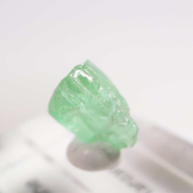 ���󥶥˥��� �����ͥ�ԥ�