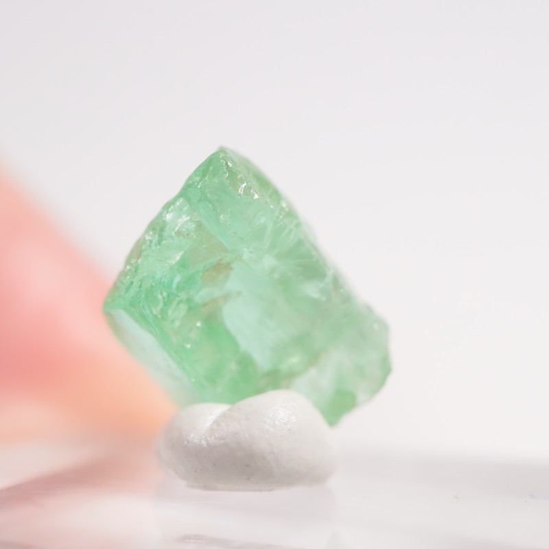 ���󥶥˥��� �����ͥ�ԥ�