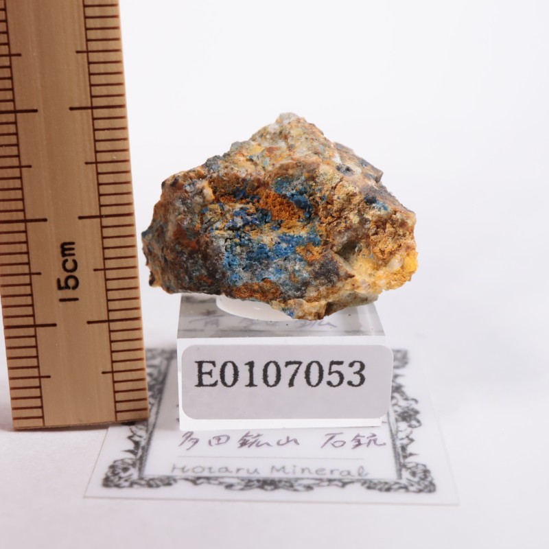 ¿�Ĺۻ����ı��ۡʥ�ʥ饤�ȡ�