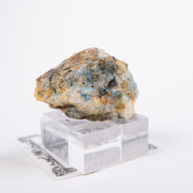 ¿�Ĺۻ����ı��ۡʥ�ʥ饤�ȡ�