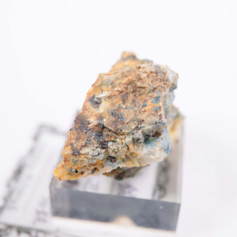 ¿�Ĺۻ����ı��ۡʥ�ʥ饤�ȡ�