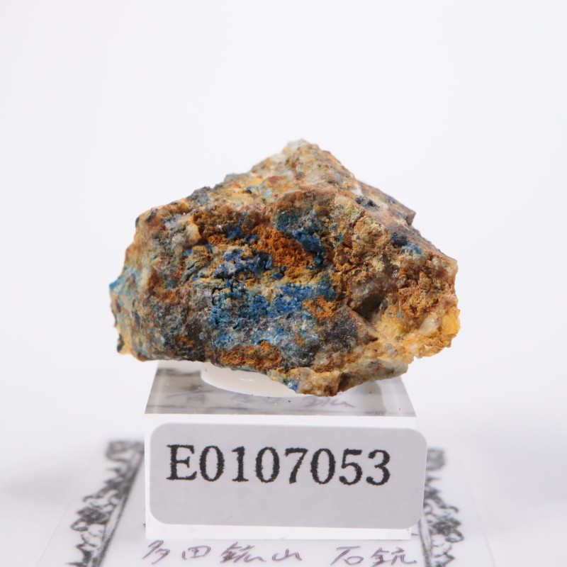 ¿�Ĺۻ����ı��ۡʥ�ʥ饤�ȡ�