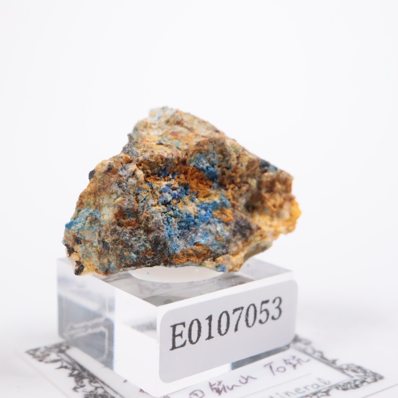 ¿�Ĺۻ����ı��ۡʥ�ʥ饤�ȡ�