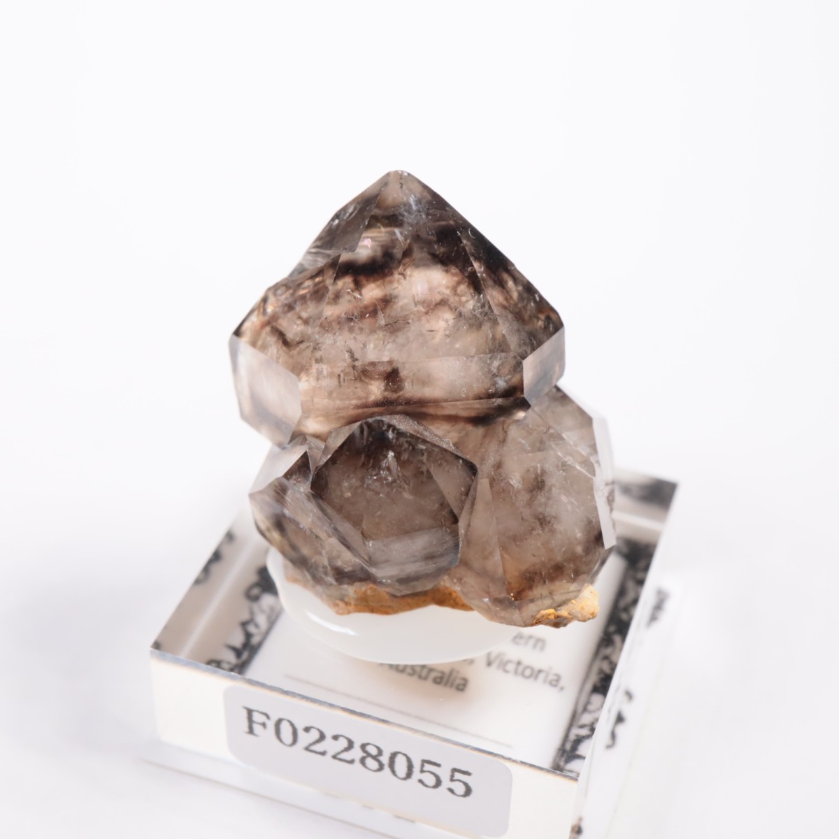 �������ȥ�ꥢ�� ����徽