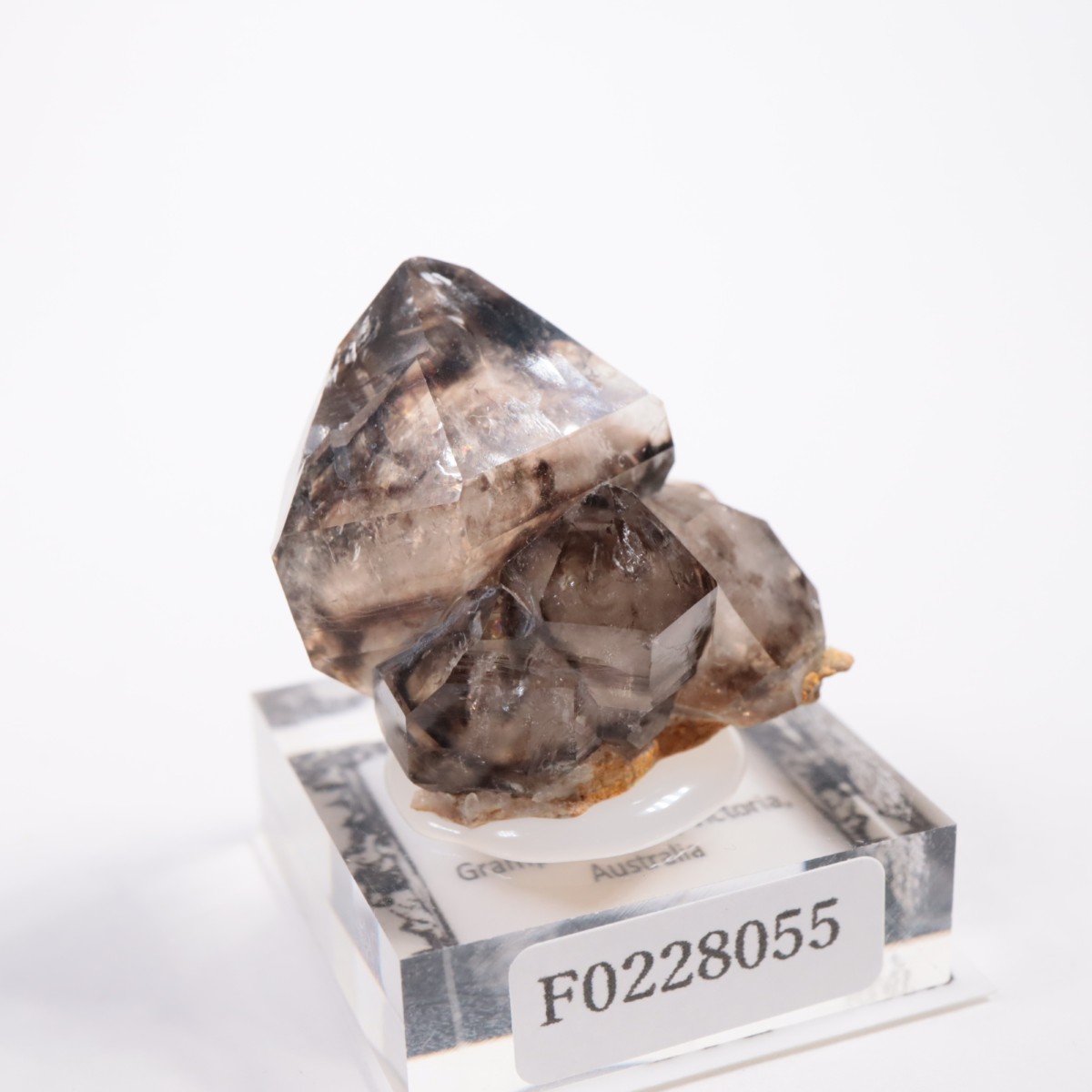 �������ȥ�ꥢ�� ����徽