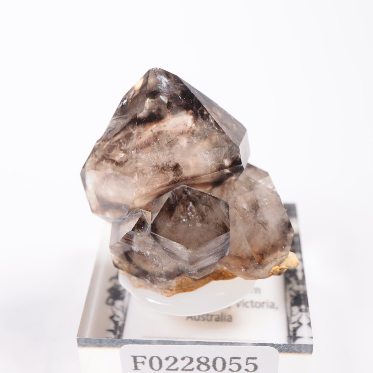 �������ȥ�ꥢ�� ����徽