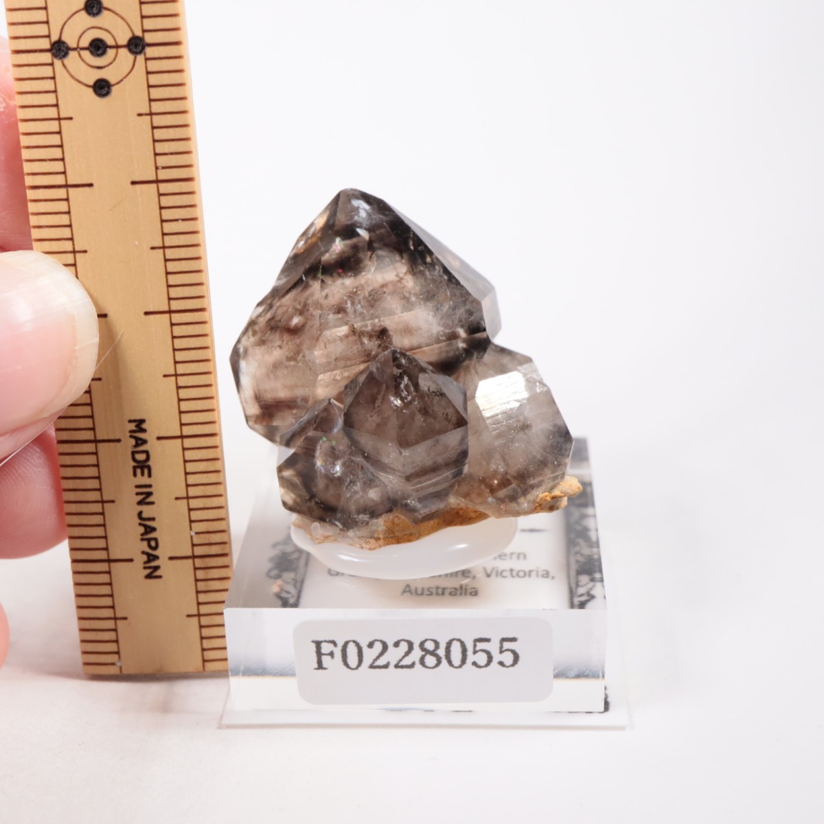 �������ȥ�ꥢ�� ����徽