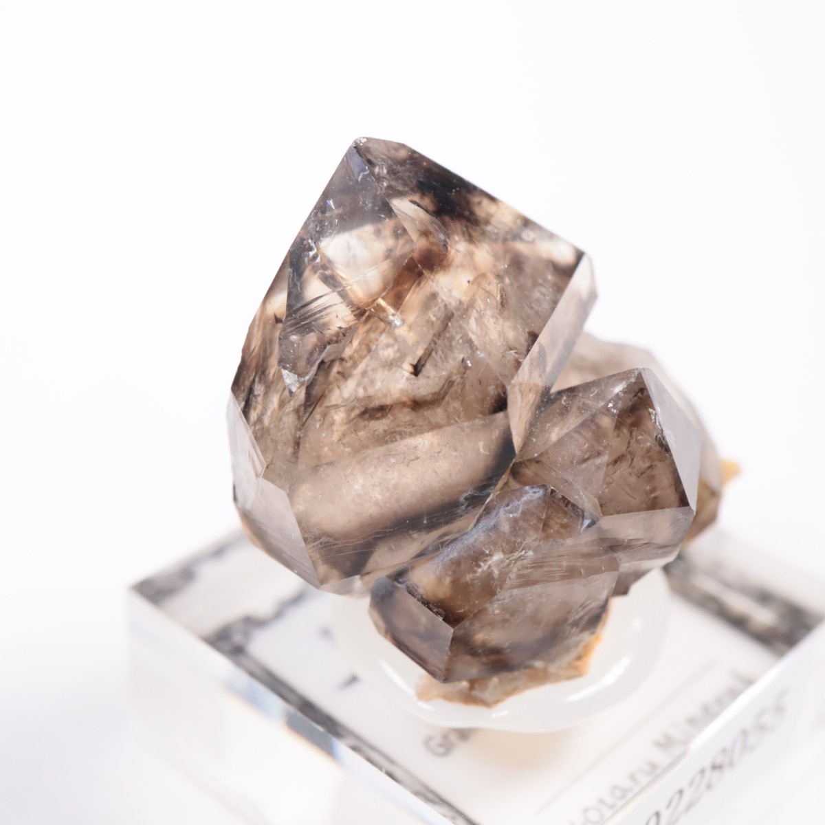 �������ȥ�ꥢ�� ����徽