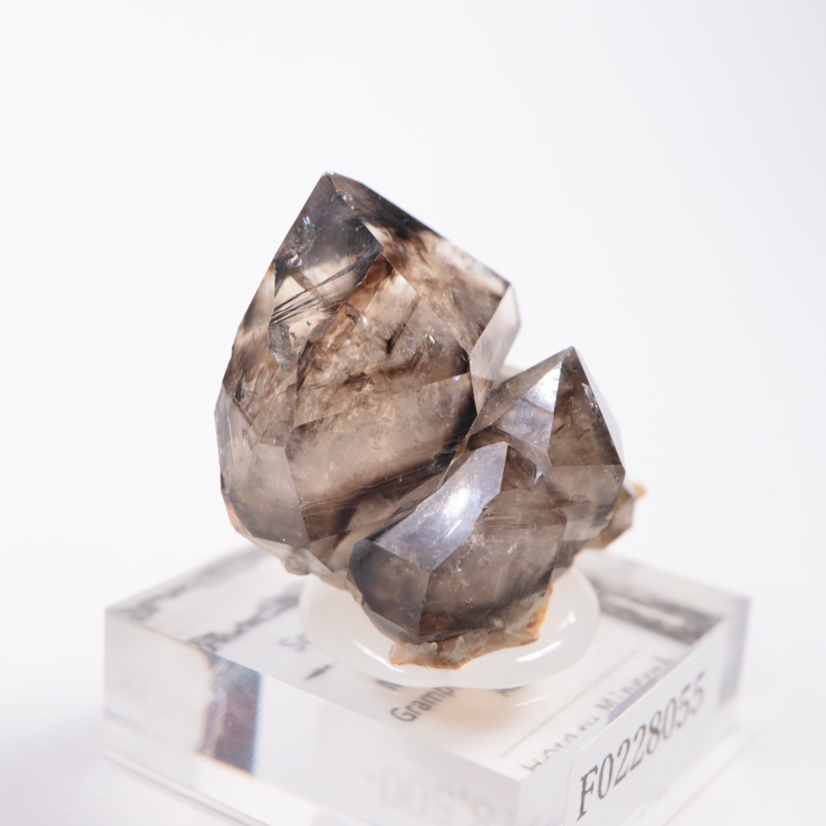 �������ȥ�ꥢ�� ����徽