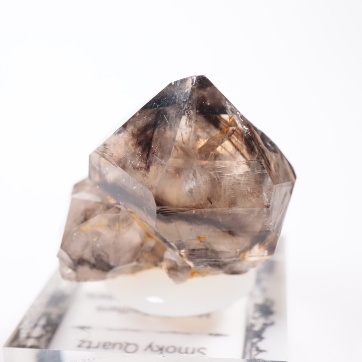 �������ȥ�ꥢ�� ����徽