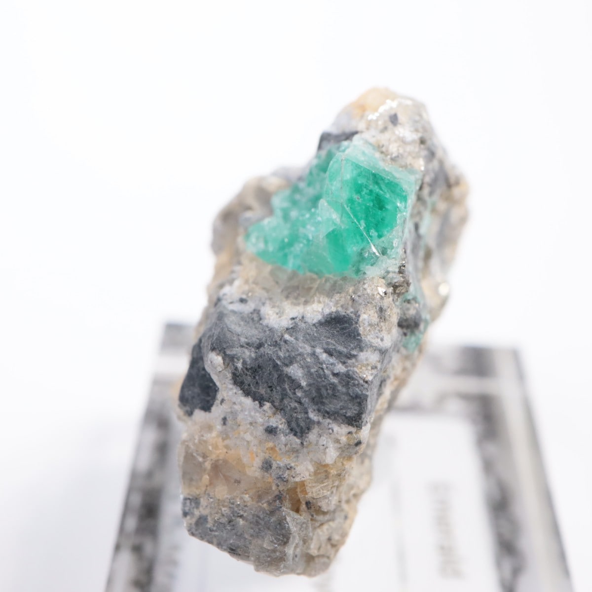 Chivor�ۻ� �������