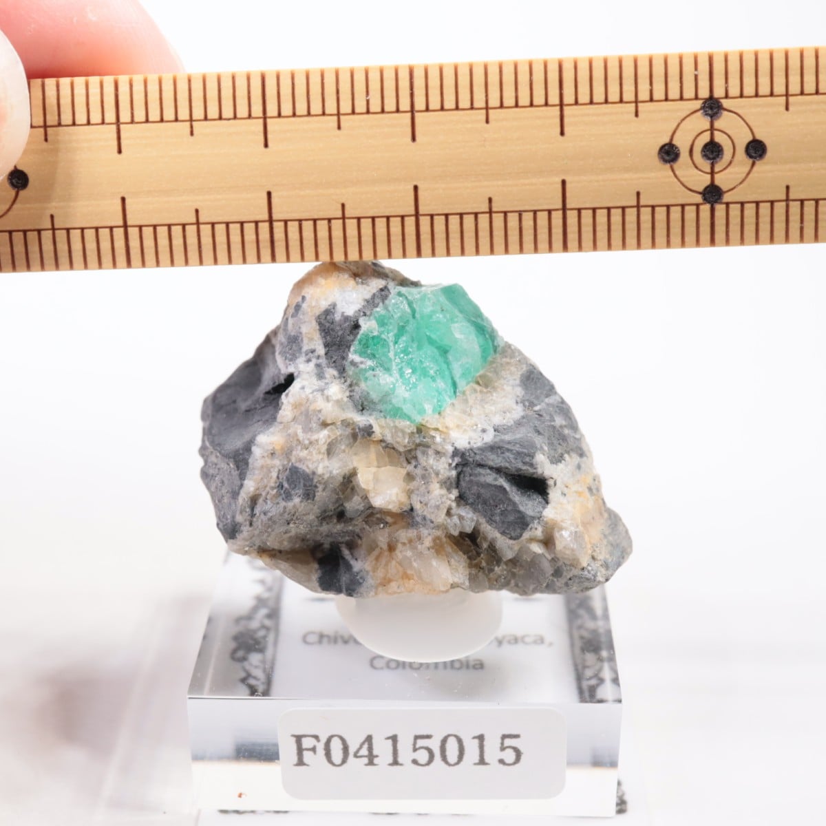 Chivor�ۻ� �������