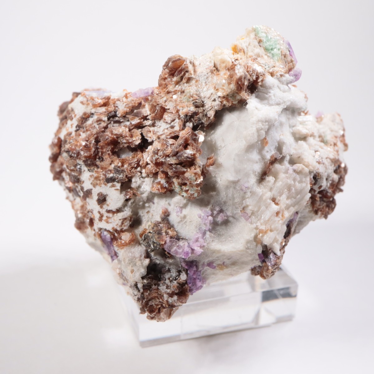 �ͥѡ��뻺 ��ӡ�