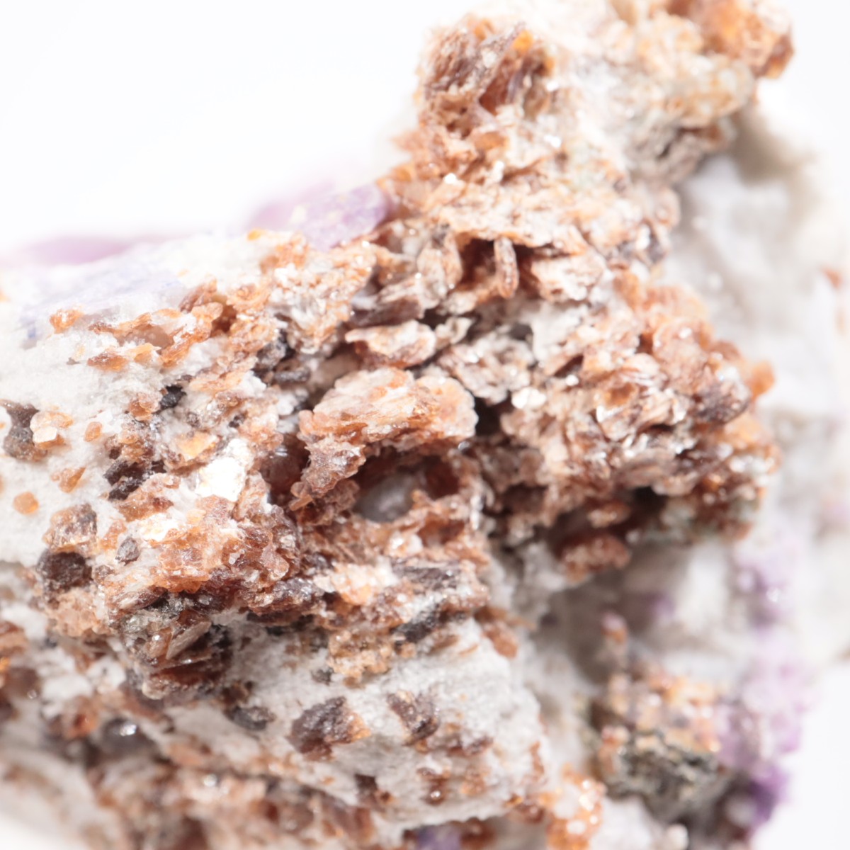 �ͥѡ��뻺 ��ӡ�